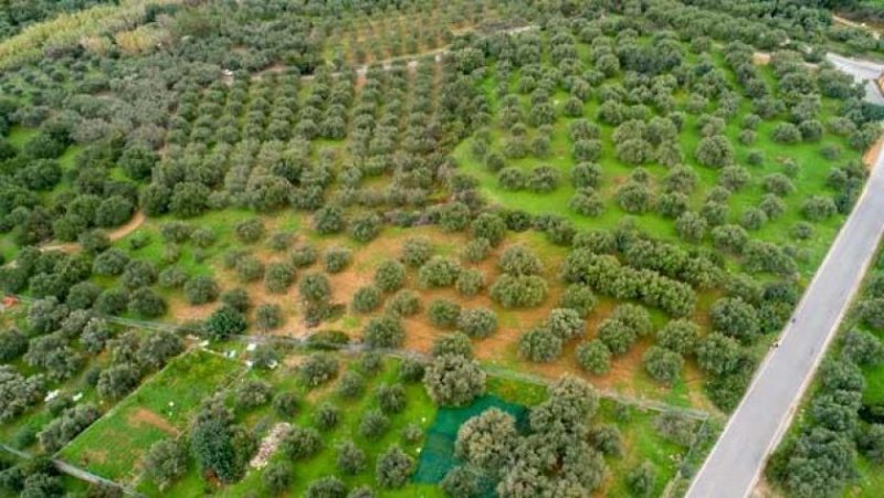 Sisi Kreta, Sisi: Baugrundstück etwas außerhalb des Dorfes zu verkaufen Grundstück kaufen